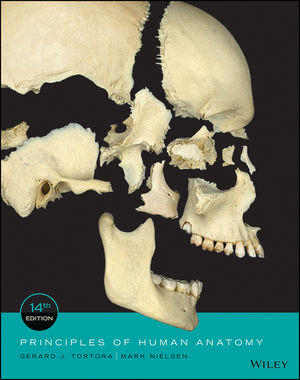Test Bank for Principles of Human Anatomy 14th Edition Tortora