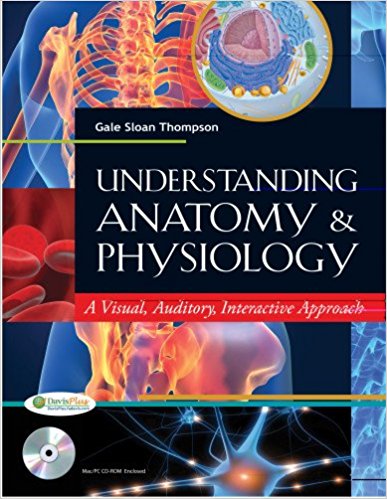 Test Bank for Understanding Anatomy and Physiology 1st Edition Thompson