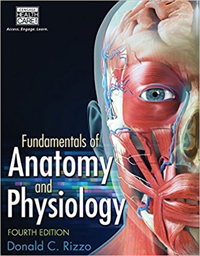 Test Bank for Fundamentals of Anatomy and Physiology 4th Edition Rizzo