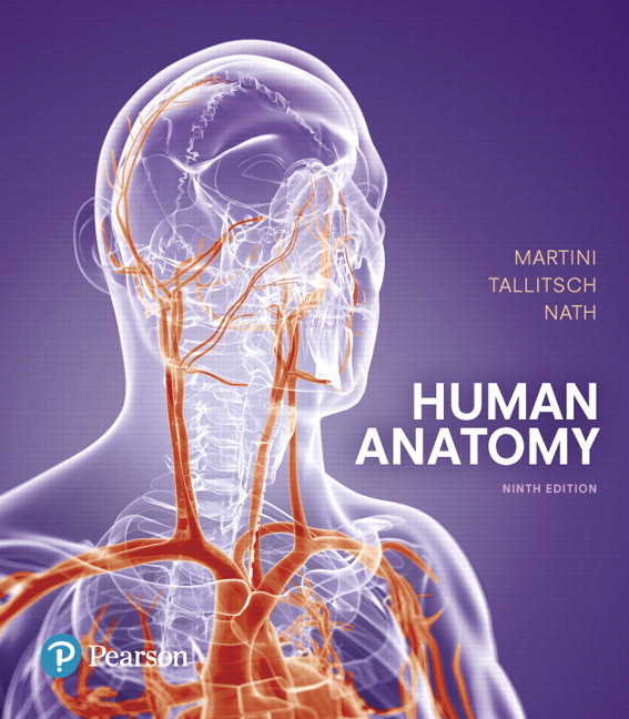 Test Bank for Human Anatomy 9th Edition Martini