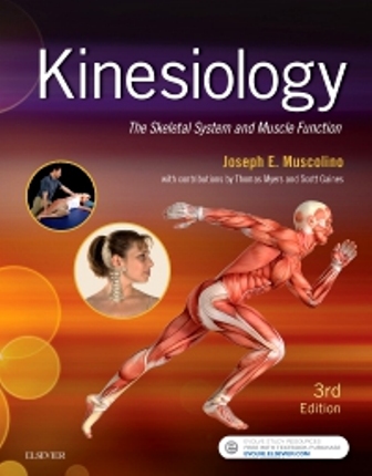 Test Bank for Kinesiology 3rd Edition by Joseph E. Muscolino