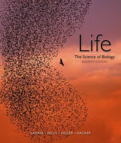 Test Bank for Life: The Science of Biology 11th Edition Sadava
