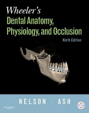 Test Bank for Wheeler’s Dental Anatomy, Physiology and Occlusion 9th Edition Nelson