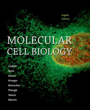 Test Bank for Molecular Cell Biology 8th Edition Lodish