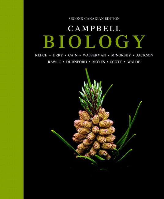 Test Bank for Campbell Biology 2nd Edition Reece