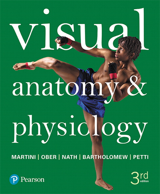 Test Bank for Visual Anatomy & Physiology 3rd Edition Martini