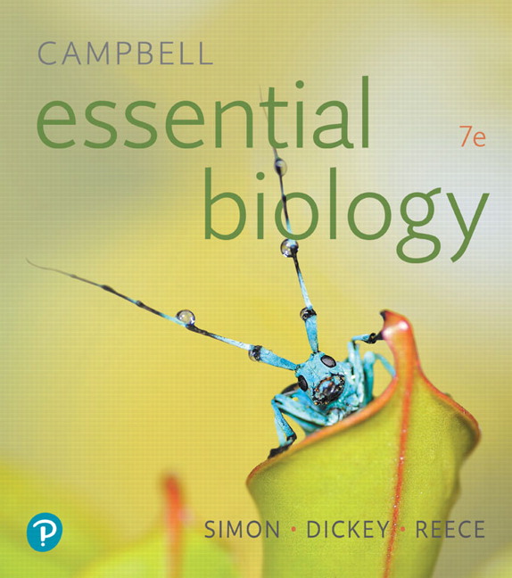 Test Bank for Campbell Essential Biology 7th Edition Simon