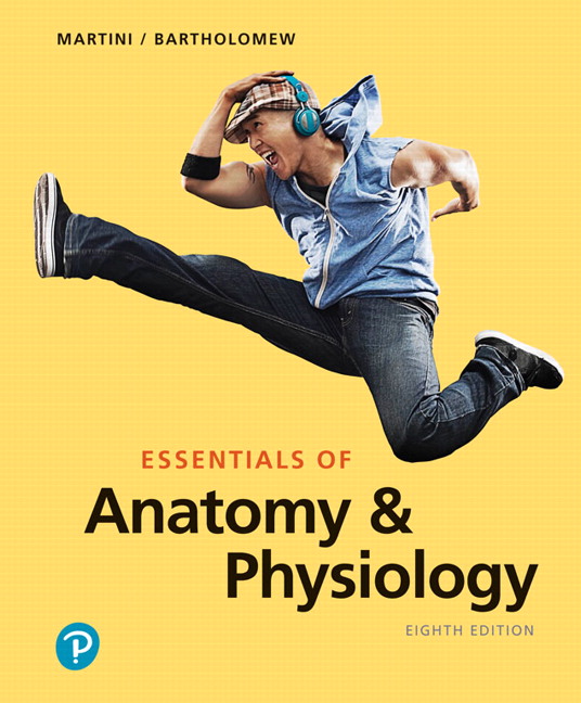 Test Bank for Essentials of Anatomy & Physiology 8th Edition Martini