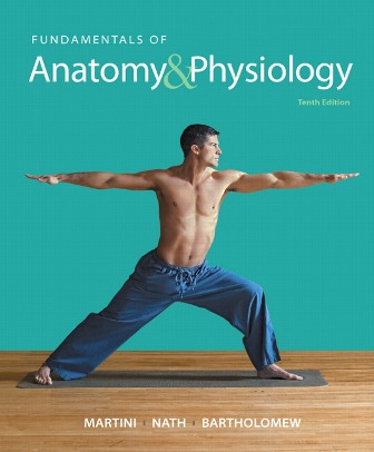 Test Bank for Fundamentals of Anatomy & Physiology 10th Edition Martini