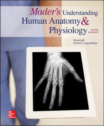 Test Bank for Mader’s Understanding Human Anatomy & Physiology 9th Edition Longenbaker