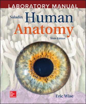 Test Bank for Accompany Saladin Human Anatomy 6th Edition Wise