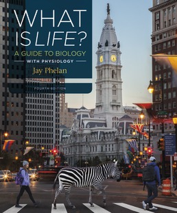 Test Bank for What Is Life? A Guide to Biology 4th Edition Phelan