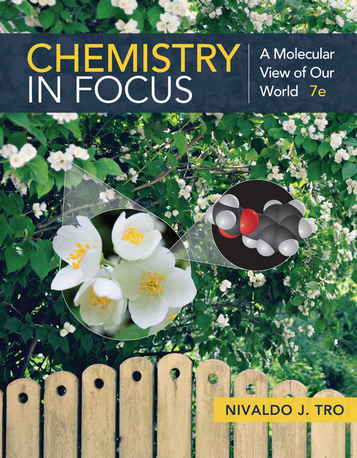 Test Bank for Chemistry in Focus: A Molecular View of Our World 7th Edition Tro