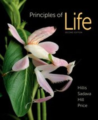 Test Bank for Principles of Life 2nd Edition Hillis