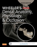 Test Bank for Wheeler’s Dental Anatomy Physiology and Occlusion 10th Edition Nelson