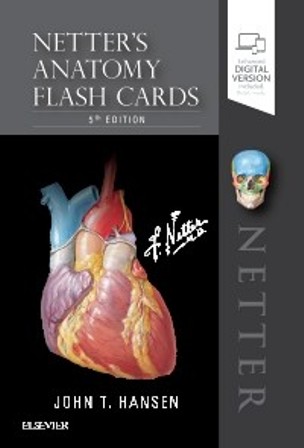 Test Bank for Netter's Anatomy Flash Cards 5th Edition Hansen