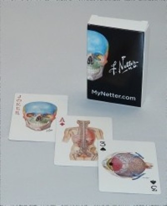 Test Bank for Netter Playing Cards 1st Edition Netter