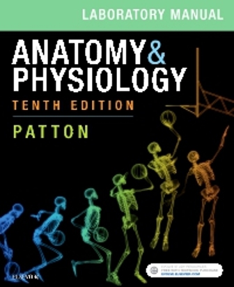 Test Bank for Anatomy and Physiology 10th Edition Patton