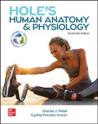Test Bank for Hole's Human Anatomy and Physiology 16th Edition Welsh