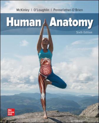 Test Bank for Human Anatomy 6th Edition McKinley