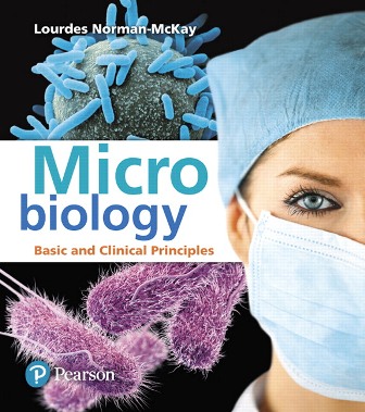 Test Bank for Microbiology: Basic and Clinical Principles 1st Edition Norman-McKay
