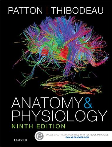 Test Bank for Anatomy and Physiology 9th Edition Patton 
