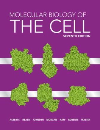 Test Bank for Molecular Biology of the Cell 7th Edition Alberts