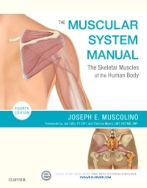 The Muscular System Manual 4th Edition Muscolino