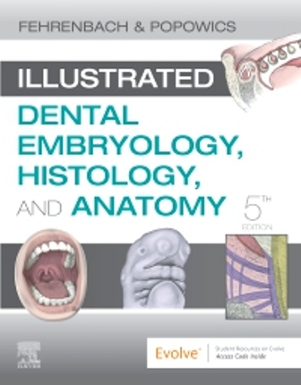 Illustrated Dental Embryology Histology and Anatomy 5th Edition Fehrenbach Illustrated Dental Embryology Histology and Anatomy 5th Edition Fehrenbach