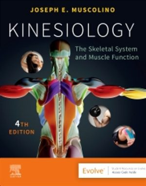 Kinesiology 4th Edition Muscolino